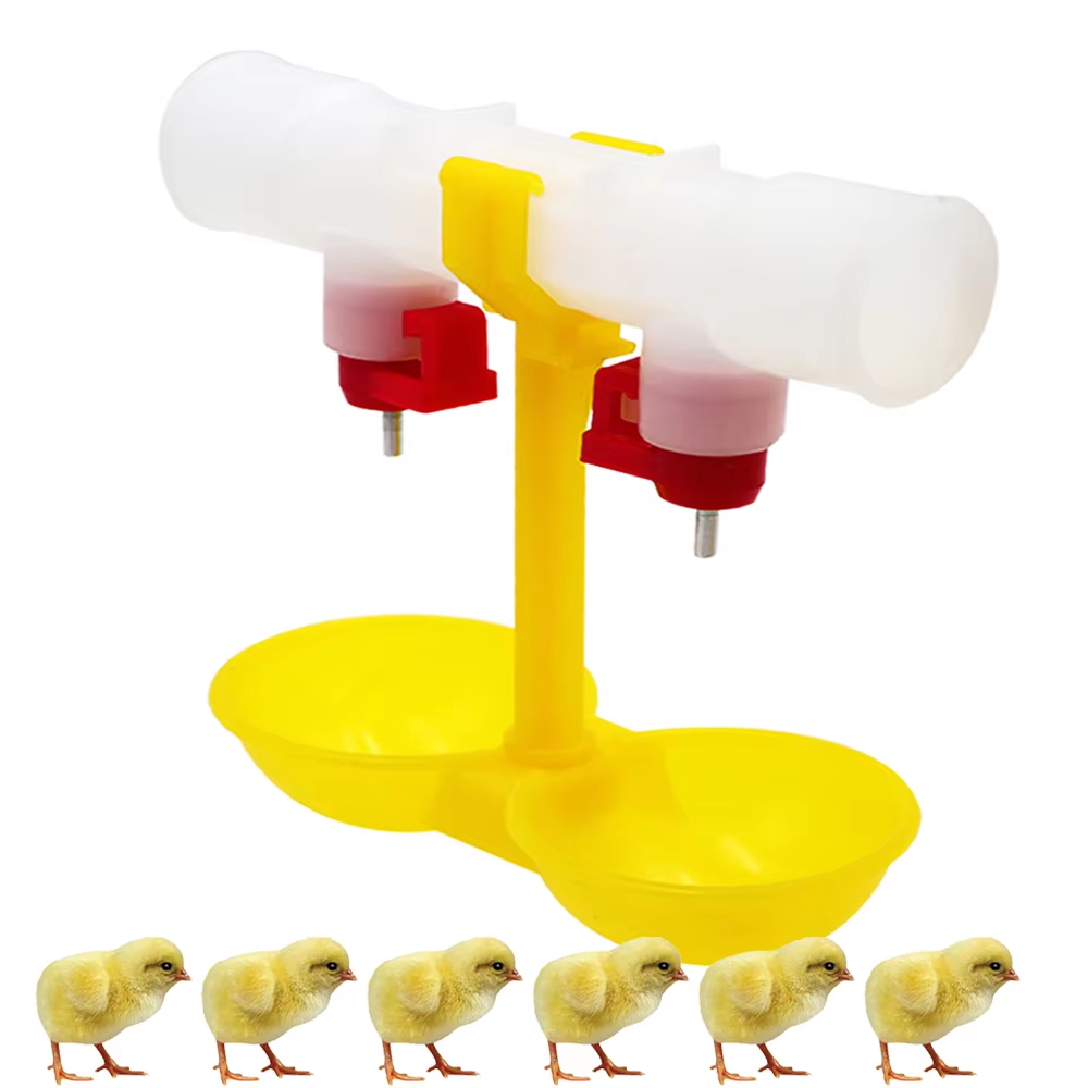 5/10/20Pcs Chicken Double Head - Zwitsal Baby Products 评论和价格