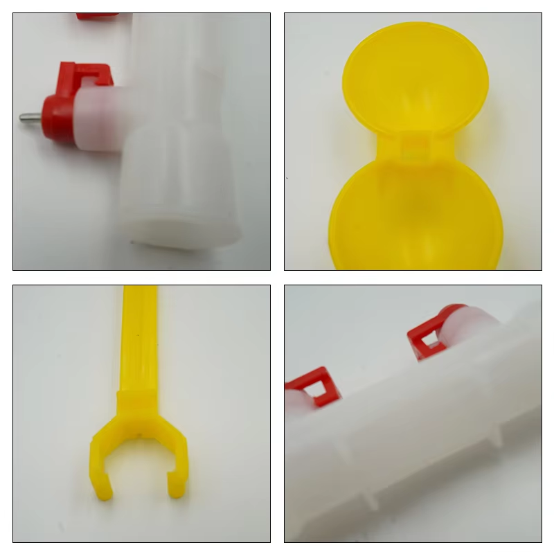 5/10/20Pcs Chicken Double Head - Zwitsal Baby Products 评论和价格