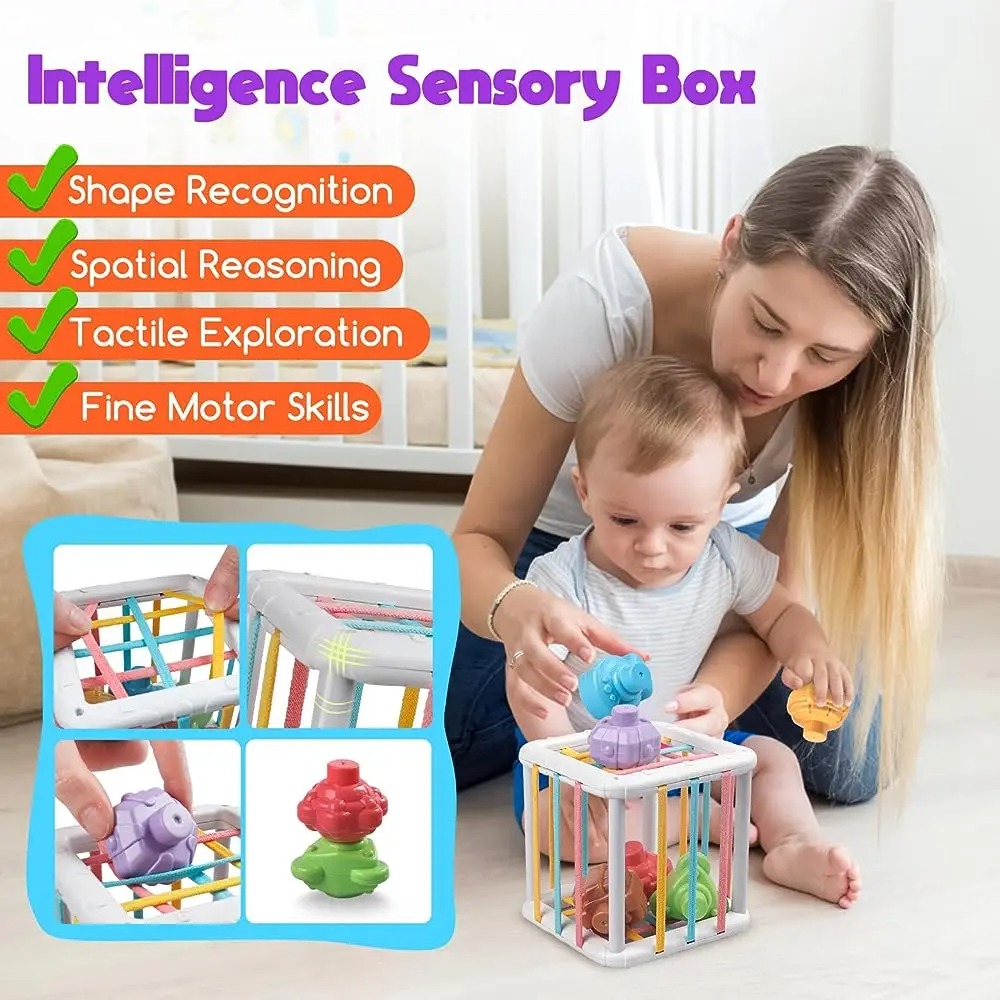 Rainbow Colorful Montessori Sh - Baby Products Toys 评论和价格